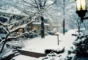 A White Christmas with Luscious - mylusciouslife.com - white snow christmas outdoors.jpg